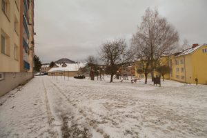 Img 3501